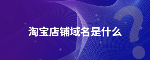 淘宝店铺域名相关内容(淘宝店铺域名是什么)插图