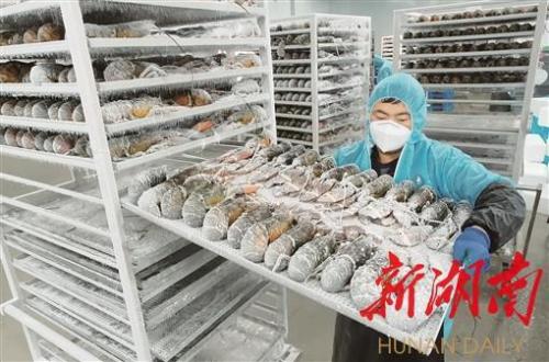 湖南跨境电商出口试点(湖南四大跨境电商综试区将亮相湖南跨交会)插图3