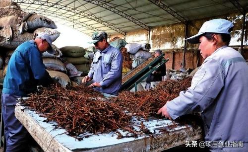 年轻人创业做什么赚钱(适合年轻人白手起家的冷门小生意)插图2
