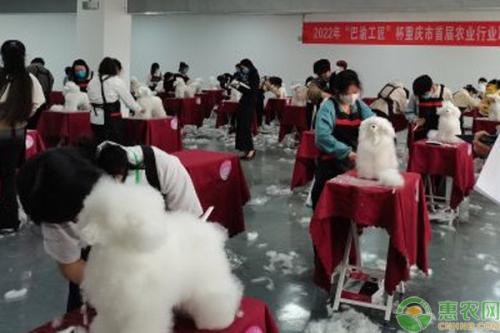哪些行业将成为2023年最赚钱的赛道(2023年最赚钱的九大暴利行业)插图2