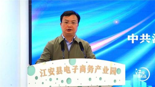 公司电商产业园(江安县电子商务产业园正式开园)插图5