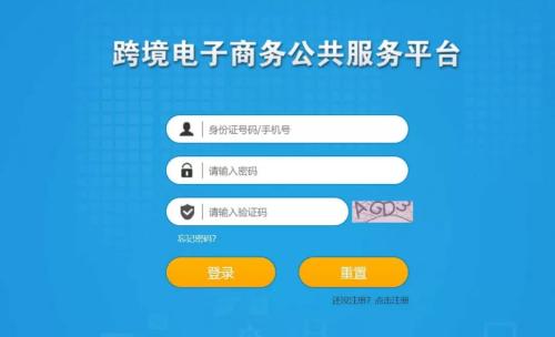怎么查询跨境电商进口额度(你的跨境电商个人额度用了多少)插图3