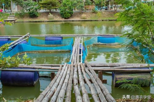 什么是养殖业国家扶持的项目(2022年水产养殖有补贴吗)插图3