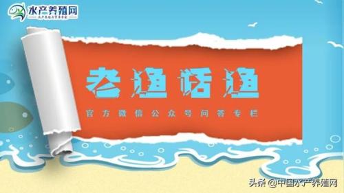 什么是养殖业国家扶持的项目(2022年水产养殖有补贴吗)插图8