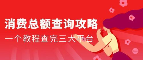 网上淘宝京东拼多多消费总额在哪里查看(淘宝京东拼多多消费总额查询攻略)插图