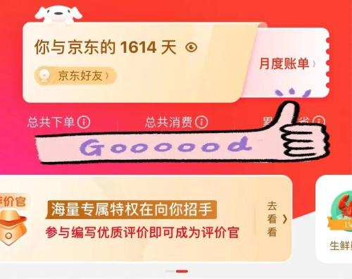 网上淘宝京东拼多多消费总额在哪里查看(淘宝京东拼多多消费总额查询攻略)插图7