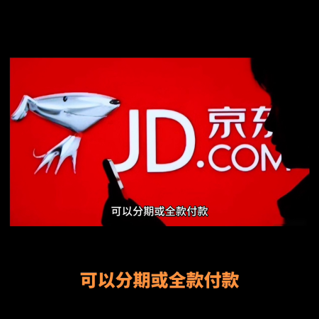 为什么我的白条是车主版(京东白条知识)插图