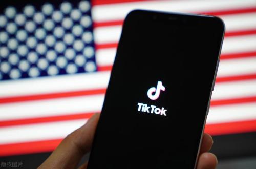 TikTok Shop美国小店(快看看哪些品类走红爆卖)插图