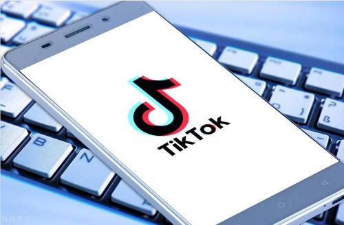 TikTok Shop美国小店(快看看哪些品类走红爆卖)插图1