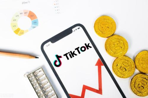 TikTok Shop美国小店(快看看哪些品类走红爆卖)插图2