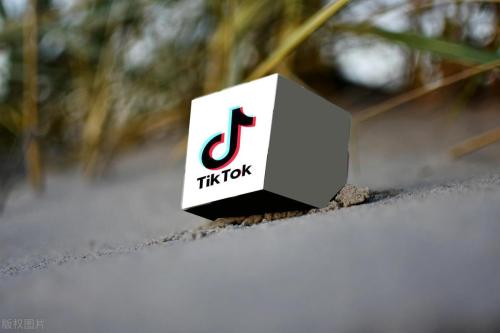 TikTok Shop美国小店(快看看哪些品类走红爆卖)插图3