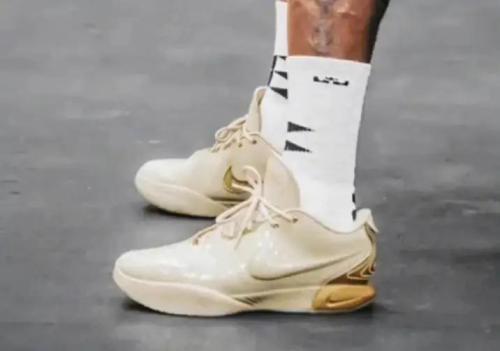 耐克新款篮球鞋(首次曝光Nike詹姆斯21代)插图5