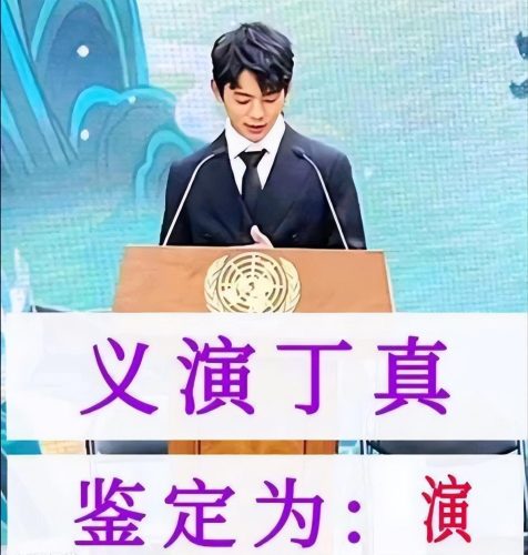 丁真是什么梗(丁真是什么意思)插图4