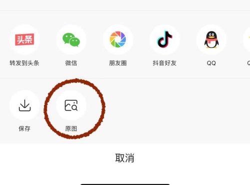 图片扫一扫找原图(图片查找原图)插图