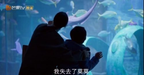 消失的孩子更新时间(消失的孩子更新日历)插图4