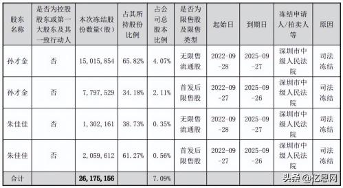 深圳大卖创始人无力还债!部分股份被法拍(深圳大卖创始人遭殃了！过亿股份被冻结三年)插图