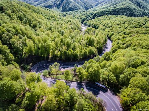 在农村做什么行业最稳定又最赚钱的(在农村赚钱的10个行业)插图8