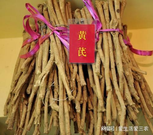 药材种植中哪种药材的利润最高(九种药材种植利润高值得推荐)插图3