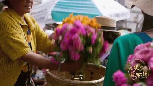 中国宜居城市排名(中国十大养老宜居城市)插图11