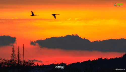 中国宜居城市排名(中国十大养老宜居城市)插图15