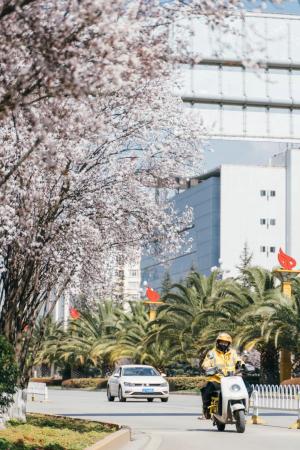 中国宜居城市排名(中国十大养老宜居城市)插图30