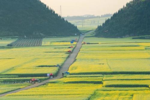 中国宜居城市排名(中国十大养老宜居城市)插图31