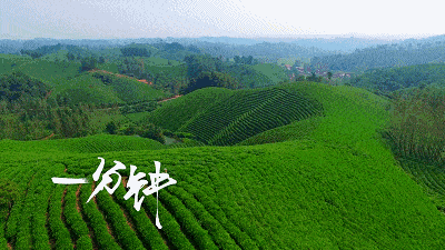 中国宜居城市排名(中国十大养老宜居城市)插图51