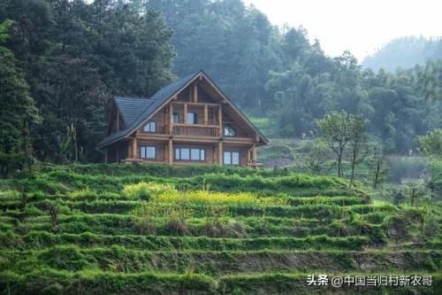 现在在农村,哪些行业能够赚最多的钱(农村有3大月入上万赚钱行业)插图