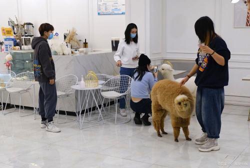 做哪个行业比较有发展且赚钱(比较冷门但很赚钱的10个行业)插图