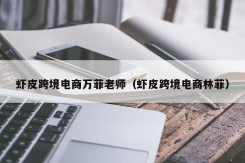 林菲跨境电商市场的新秀(虾皮跨境电商万菲老师)插图