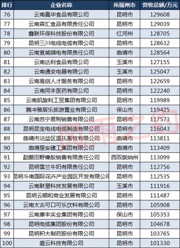 云南前100强企业名单最新排名(云南前100企业名单)插图5