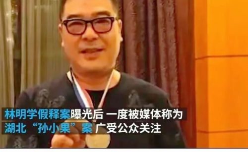 孙小果为什么像李(孙小果长得像谁)插图3