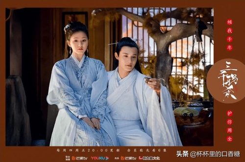 赵露思演过的电视剧有哪些(赵露思演的古装电视剧)插图5