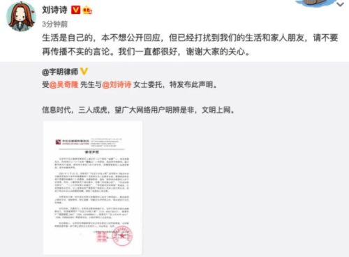 吴奇隆和刘诗诗什么时候离的婚(吴奇隆和刘诗诗有宝宝了吗)插图27