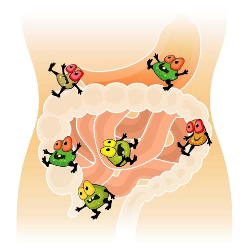 蒙脱石散正确服用方法(蒙脱石散正确服用方法饭前饭后)插图2