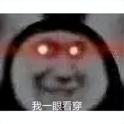 丁真是什么梗(丁真是什么意思)插图1