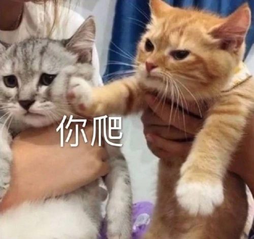 难受的图片和表情包(特别难受的表情包)插图35