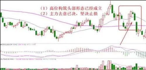 净资产8元股价却3元(净资产8元股价却3元退市)插图5