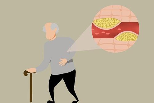 O型血有什么优点和缺点(O型血的优点和缺点)插图2