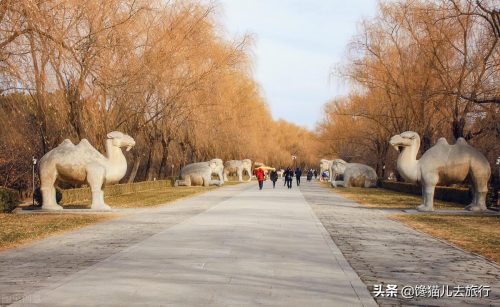 十三陵都有哪些陵园(十三陵陵园名字)插图7