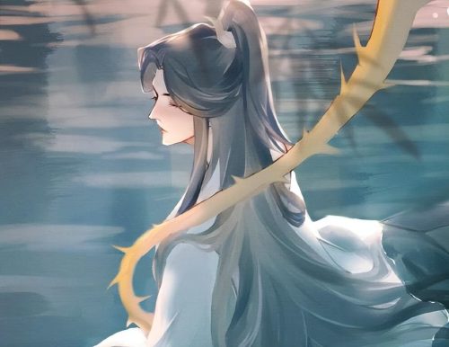 苦茶子是什么梗(能吃的苦茶子是什么梗)插图
