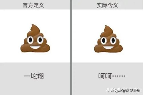 2022微信表情含义图解大全(2023微信表情含义)插图15