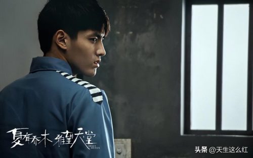 吴亦凡判17年9个月是真的吗(外媒报吴亦凡判17年是真的吗)插图15