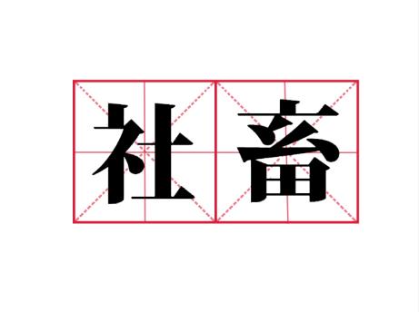 网络用词社畜是什么意思(社畜是什么意思)插图