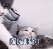 难受的图片和表情包(特别难受的表情包)插图10