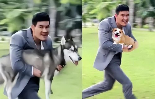 我真的会谢什么意思(我真的会谢是什么意思网络用语)插图1