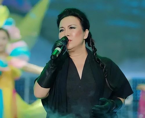 女歌手排行榜大全名单(当红女歌手的名单)插图4