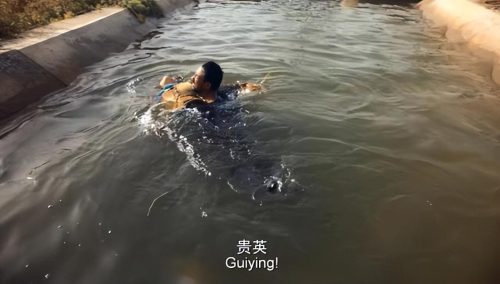 隐入尘烟结局是什么意思(隐入尘烟是什么意思)插图3