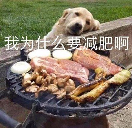 难受的图片和表情包(特别难受的表情包)插图24