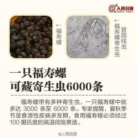 福寿螺到底能不能吃(福寿螺能吃吗)插图9